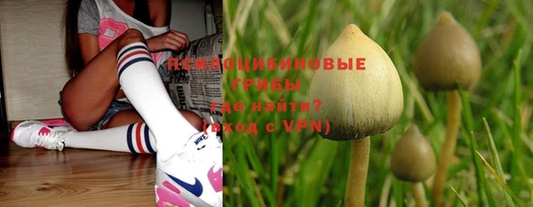 ешки Заполярный