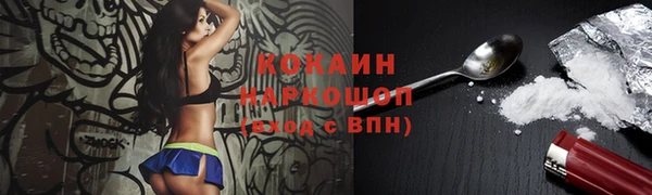 ПСИЛОЦИБИНОВЫЕ ГРИБЫ Рославль
