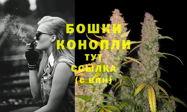 спайс Пролетарск