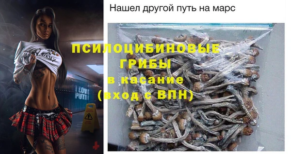 гидра Приозерск