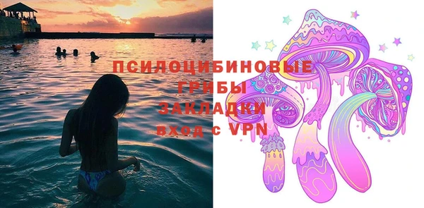тгк Зарайск