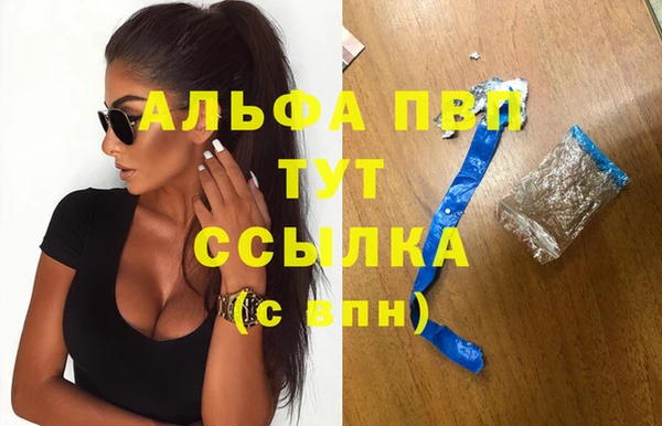 сатива Россошь