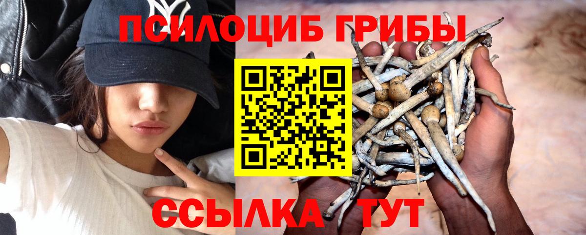 Псилоцибиновые грибы мухоморы  Вход с VPN  Саров  где купить наркоту  Псилоцибиновые грибы прущие грибы 